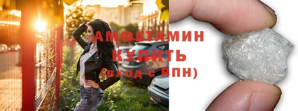 хмурый Аркадак