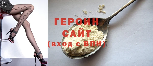 хмурый Аркадак