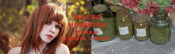 хмурый Аркадак
