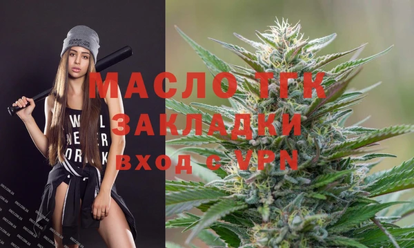 хмурый Аркадак
