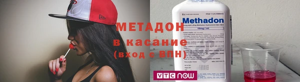 хмурый Аркадак