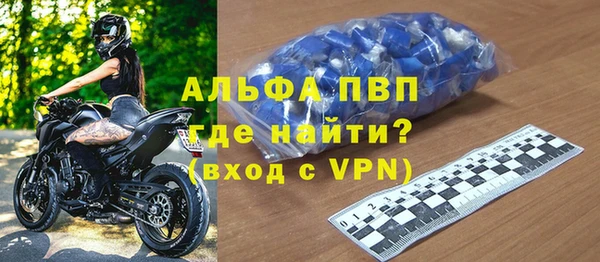 хмурый Аркадак