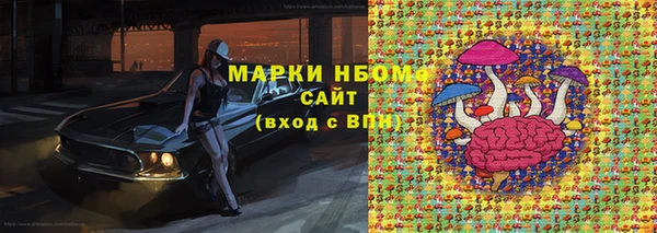 хмурый Аркадак