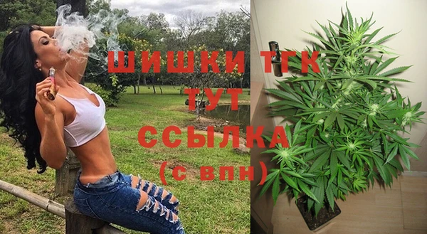 apvp Армянск