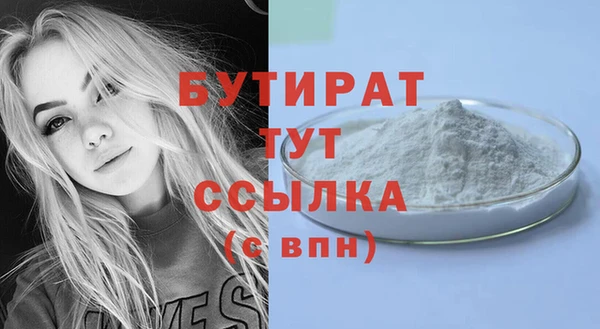 хмурый Аркадак